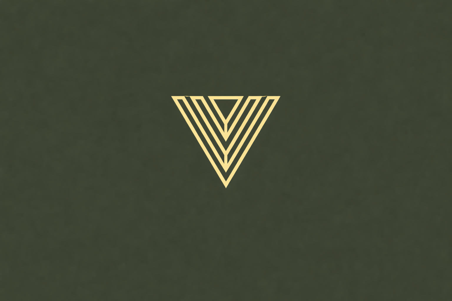 V-SORT Logo